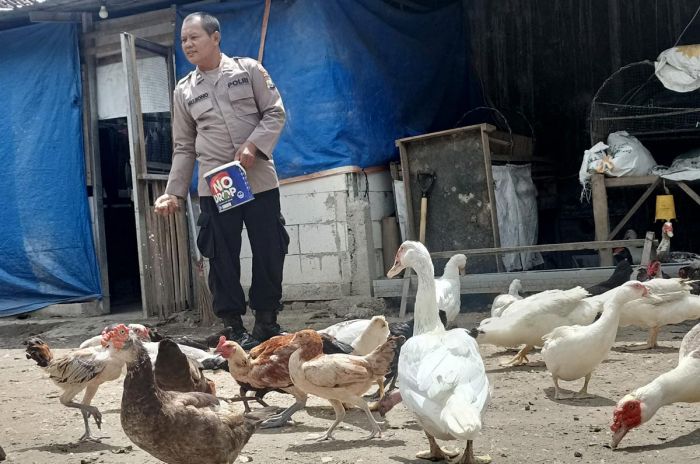 Polisi di Ngawi ini Sukses Ternak Unggas, Penuhi Permintaan Sampai Luar Daerah