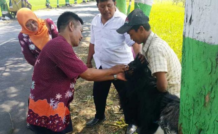 Pastikan Kesehatan, Pemkab Pasuruan Pantau Hewan Kurban