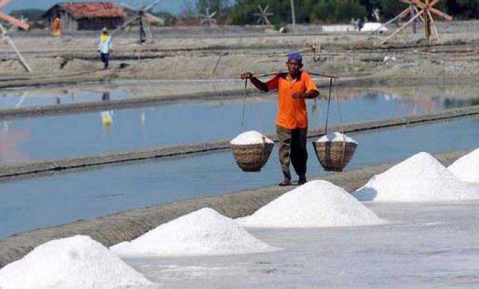 Kepala Disperindag Sumenep: Tengkulak Rusak Harga Garam