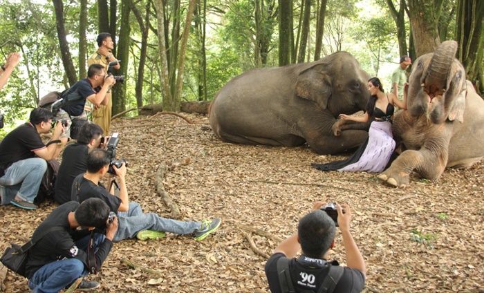 Taman Safari Indonesia Kembali Gelar Lomba Foto Satwa Skala Internasional