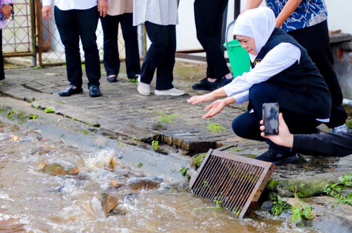Gubernur Khofifah Tinjau Instalasi Budidaya Ikan Mas Punten Diskanla di Kota Batu