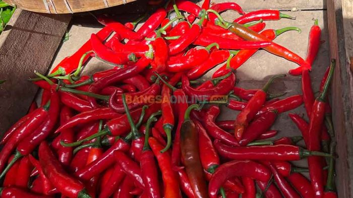 Update Harga Sembako Jatim 26 Februari 2026: Cabai Besar dan Keriting Turun