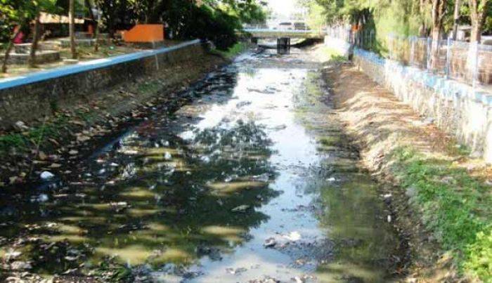 IPAL Pasar Ikan Lamongan Rusak, Warga Disuguhi Bau Busuk