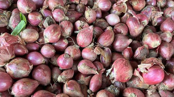 Bawang Merah Mentah Turunkan Gula Darah dan Jaga Jantung, Berikut Pelbagai Manfaatnya Bawang Merah Mentah Turunkan Gula Darah dan Jaga Jantung, Berikut Pelbagai Manfaatnya