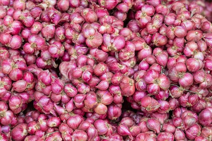Harga Sembako Jatim Sabtu 10 Mei 2025: Bawang Merah Rp35.923/kg, Ayam Kampung Rp67.798/kg