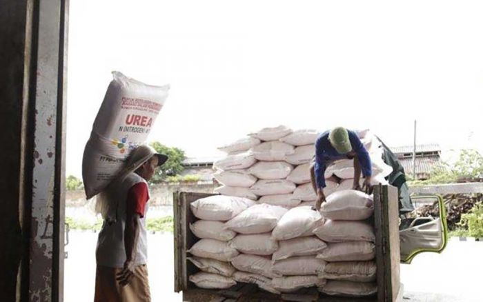 Satreskrim Polres Tuban Ungkap Kasus Dugaan Penyelewengan Pupuk Subsidi di Bancar