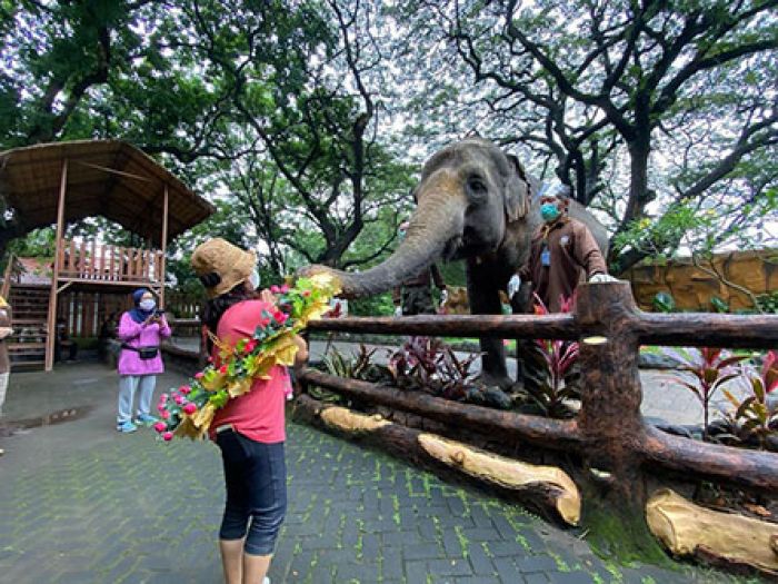 9 Kebun Binatang Terbaik di Indonesia yang Harus Dikunjungi saat Liburan