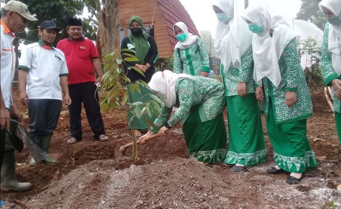Tanam Pohon Durian, Ketua Fatayat NU Jombang Yakin Agropolis Bisa Jadi Hulu-Hilir Sentra Durian
