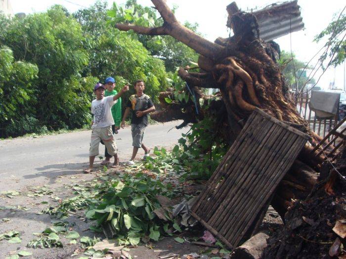 Wilayah Krian Dihajar Puting Beliung 