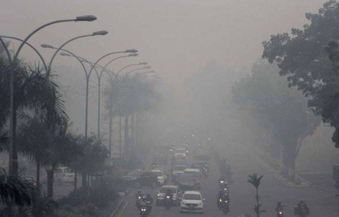 Lagi, Bayi Tiga Bulan Meninggal karena Kabut Asap