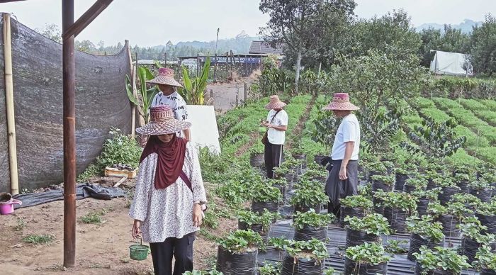 Wisata Kota Batu Jadi Favorit Turis Asia Tenggara