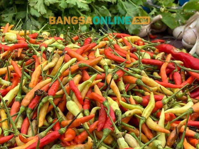 Harga Cabai di Kota Batu Hari Ini Turun