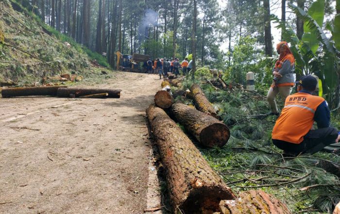 Cuaca dan Medan Jadi Kendala Pembersihan Material Longsor di Desa Tlogosari