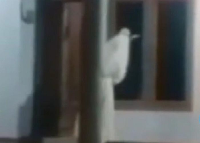 Video Pocong Bawa Celurit Hebohkan Bangkalan, Camat Kamal Sebut Hoaks