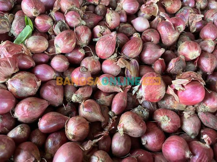 Harga Sembako Surabaya Hari Ini: Bawang Merah Rp48.500/kg, Beras Medium Rp13.350/kg