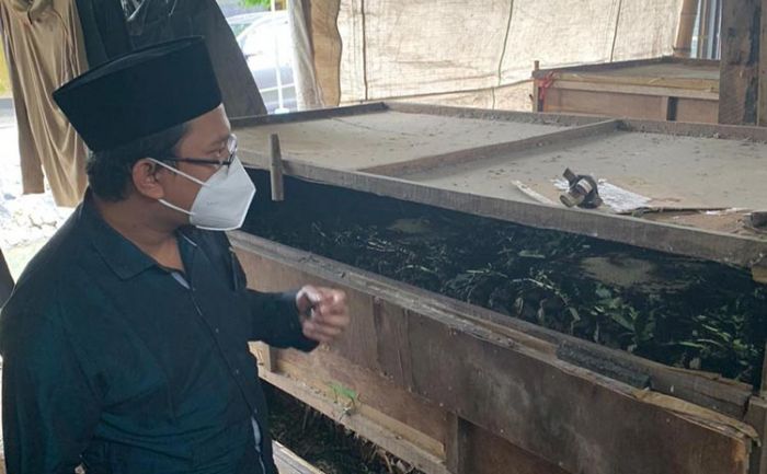 Punya Potensi, Gus Muhdlor Siap Kembangkan Desa Ploso Jadi Kampung Jangkrik