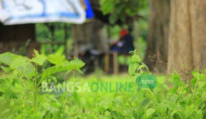 Libur Tahun Baru, Obyek Wisata Bojonegoro Dipenuhi Muda-mudi Mesum