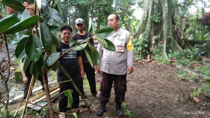 EPPI Kediri dan Pemdes Padangan, Gelar Aksi Tanam Pohon di Bantaran Sungai