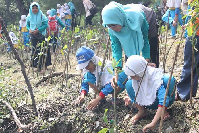 Peringati Hari Air Sedunia, SD Al Muslim Sidoarjo Tanam Seribu Mangrove