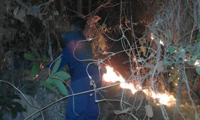 Bakar Sampah, Hutan 4 Hektare Ludes Dilalap Api
