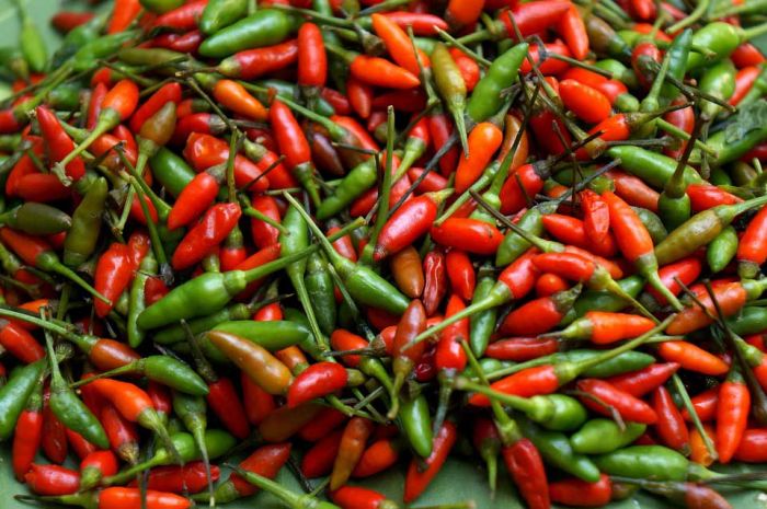Daftar Harga Sembako Bali Hari Ini: Cabai Merah Keriting Turun Rp6.500, Rawit Naik hingga Rp14 Ribu