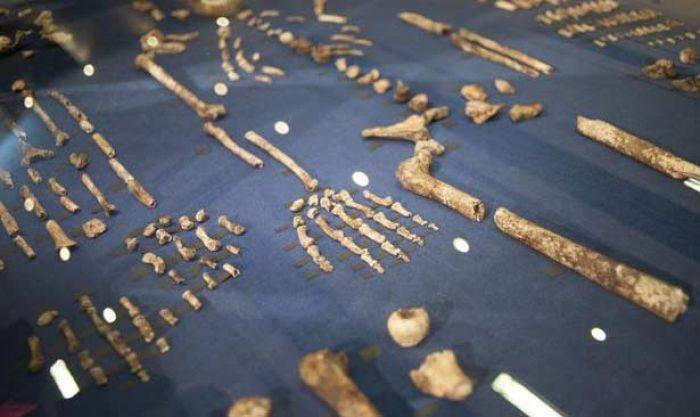 Fosil Manusia Kerdil Ditemukan di Maropeng Afrika