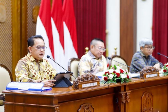 Rapat Bersama Banggar DPR-RI, Pj. Gubernur Jatim: Momen Salurkan Aspirasi Pembangunan Daerah