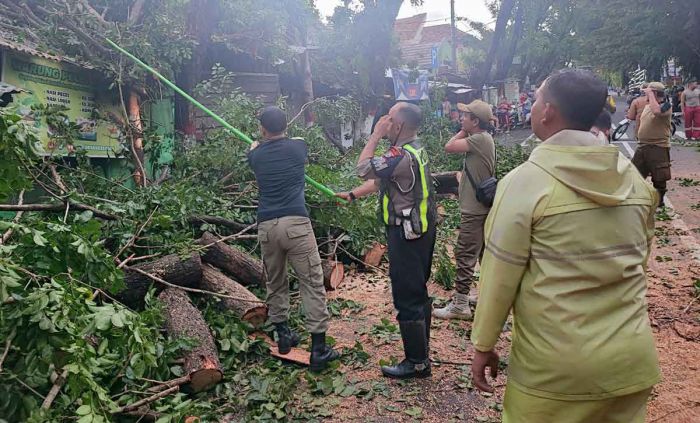 Cuaca Ekstrem, Polres Mojokerto Kota Bantu Bantu Evakuasi Pohon Tumbang