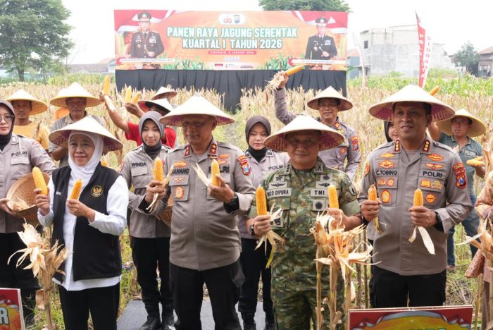 Gubernur dan Kapolda Jatim Hadiri Panen Raya Jagung Serentak Kuartal I di Sidoarjo