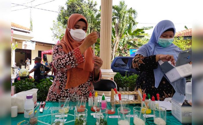 Pastikan Bebas Pestisida, DKPP Kabupaten Kediri Lakukan Rapid Test Produk Pangan Segar