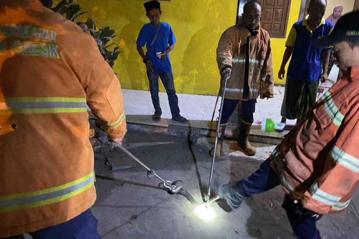 Damkar Gresik Tangkap Ular Kobra Sepanjang 1,5 Meter di Duduksampeyan