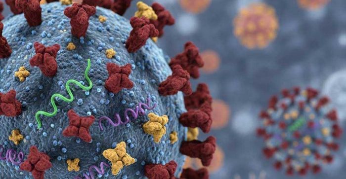 Super Flu Jadi Sorotan, Begini Penanganannya