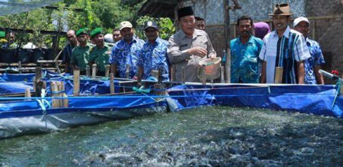 Bupati Fadeli Beri Bantuan Pembudidaya Ikan Lele di Sukorame Lamongan