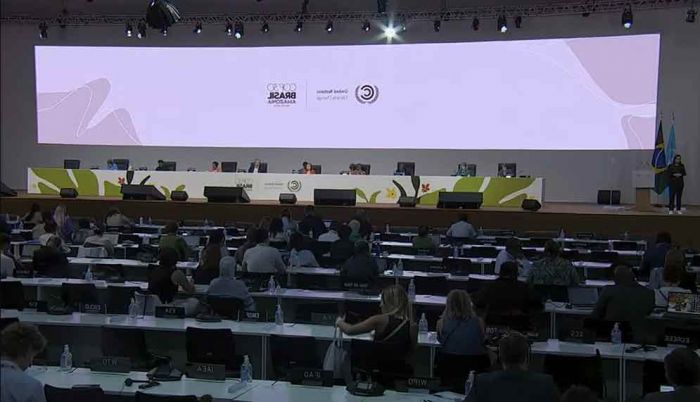 KTT Iklim PBB di Brazil Resmi Dibuka, Walhi: Pemerintah Justru Beri Peluang Industri Ekstraktif