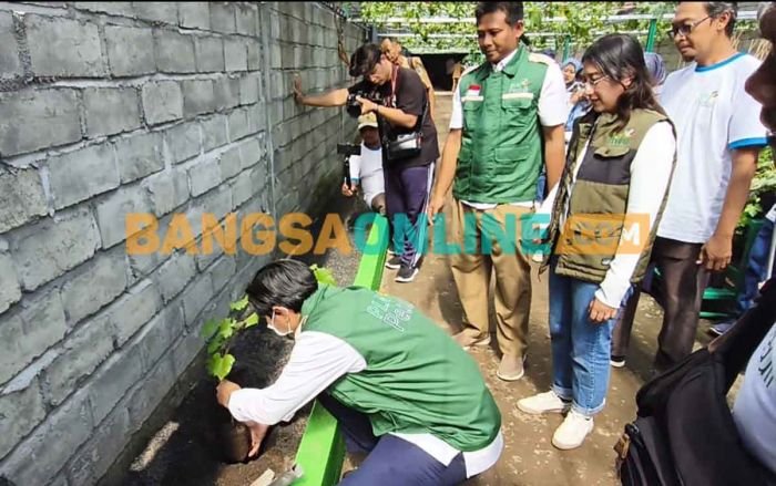 Berkolaborasi dengan PLN, Agro Eduwisata Anggur Resmi Diluncurkan di Desa Toyoresmi Berkolaborasi dengan PLN, Agro Eduwisata Anggur Resmi Diluncurkan di Desa Toyoresmi