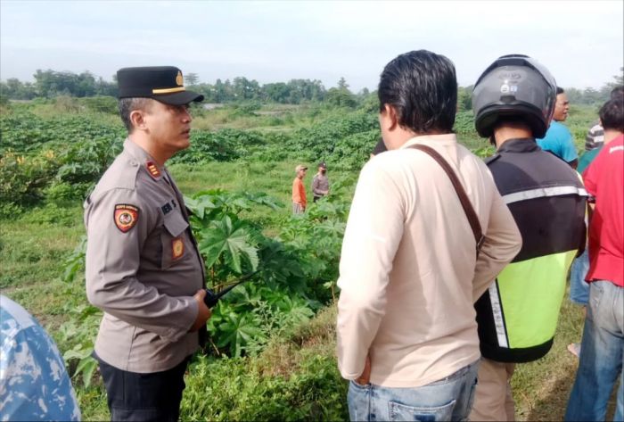 Mayat Pria Paruh Baya Ditemukan di Semak Belukar Desa Tarik Kidul Sidoarjo