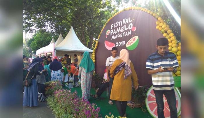 Festival Jeruk Pamelo Diserbu Pemudik