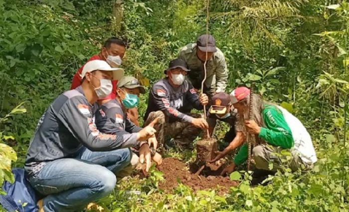 Peduli Lingkungan, Offroader dan Komunitas Trail Tanam 500 pohon di Gunung Klotok