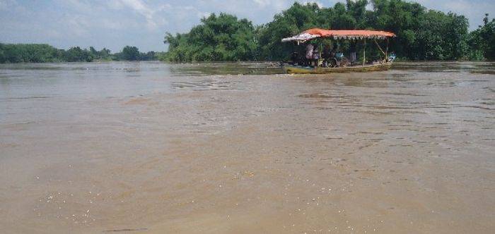 Bengawan Solo Naik, BPBD Bojonegoro Minta Warga Waspada Banjir