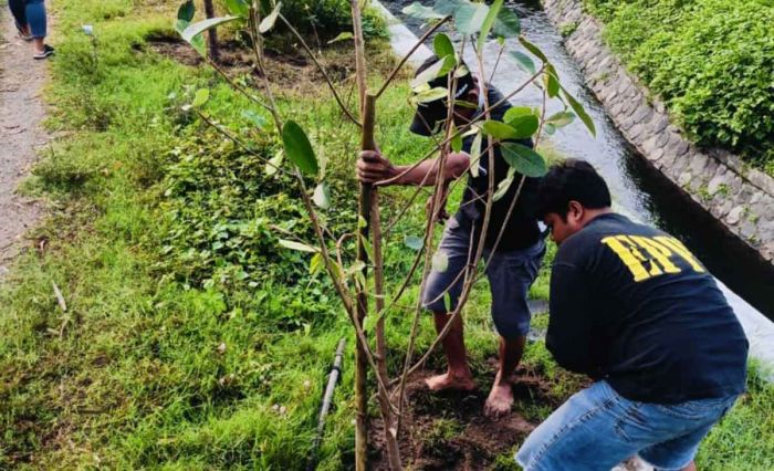 Relawan Peduli Lingkungan Gelar Aksi Tanam Pohon di Dam Kunir Kediri