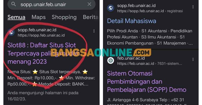 Website SOPP FEB Unair Diretas Judi Online