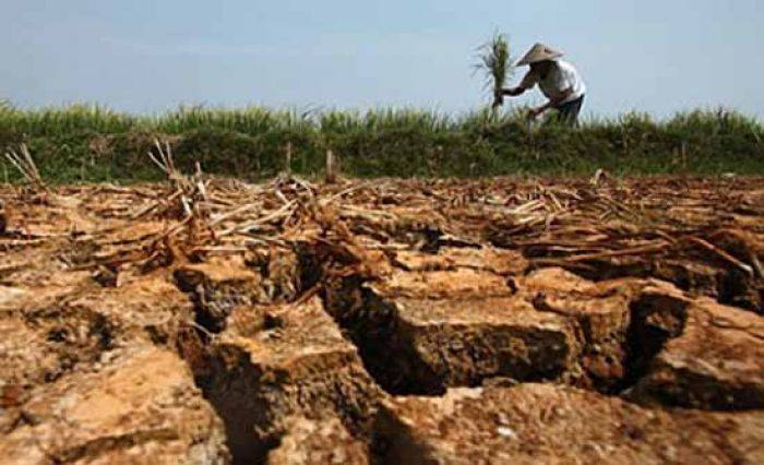 Pengaruh El Nino, Kemarau di Blitar Diprediksi Hingga Nopember, 17 Desa Kekeringan