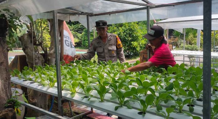 Polsek Candi Motivasi Ketahanan Pangan di Desa Gelam Polsek Candi Motivasi Ketahanan Pangan di Desa Gelam
