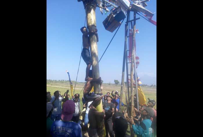 Berebut Sepeda dan TV, Warga Kajartengguli Prambon Ramai-Ramai Panjat Pohon Pisang 