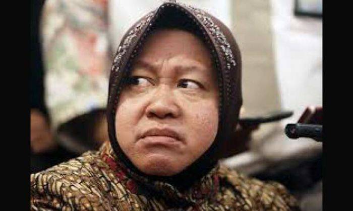 Risma Harus Mundur Jika Nyalon dalam Pilkada Jakarta