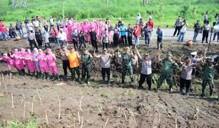 Bersinergi Tanam Rumput Vetiver untuk Kelestarian Lingkungan