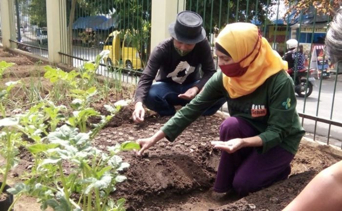 Sediakan Sayur Sehat Ramah Lingkungan, BSB Gandeng SMP Taman Siswa