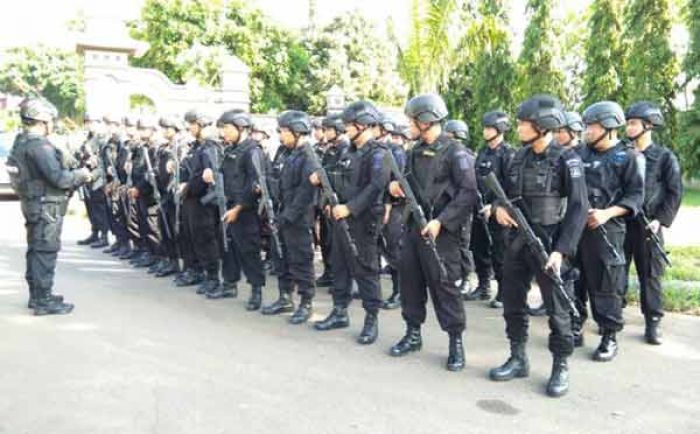 Pasca Penembakan 6 Teroris di Tuban, Puluhan Personel Brimob Sisir Lokasi Ladang Jagung