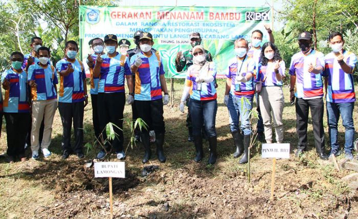 Peduli Lingkungan, Bupati Yuhronur Lakukan Pencanangan Penanaman Bambu
