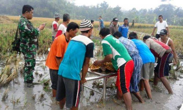 Lagi, Petani di Bojonegoro Ditemukan Tewas di Sawah